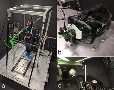 Multisensory Interactions in Head and Body Centered Perception of Verticality